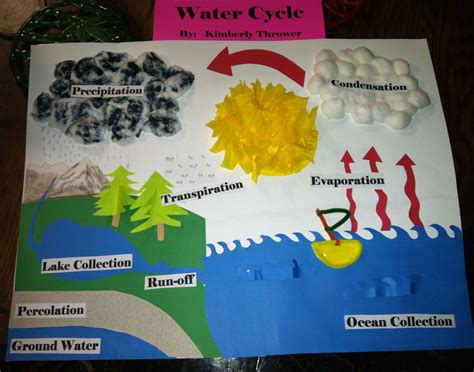 water cycle model activity 7th grade